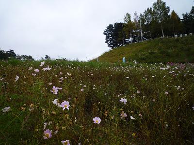 p1060033.JPG